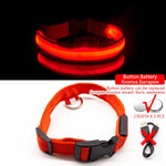 USB Charging Led Dog Collar