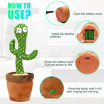 Dancing Cactus Toy