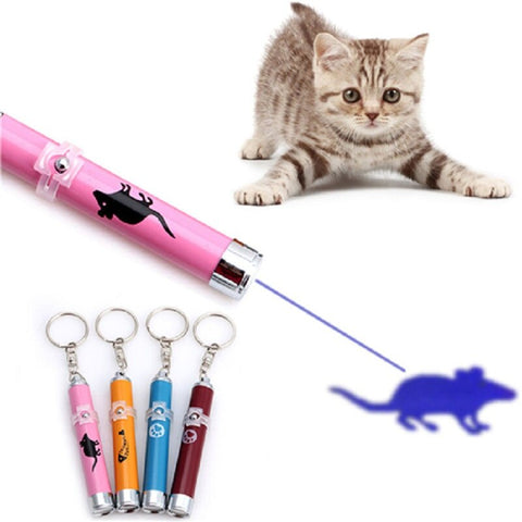 LED Pointer for cats