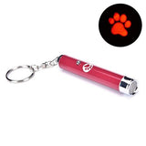 LED Pointer for cats