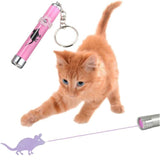 LED Pointer for cats