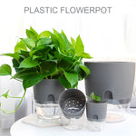 Self watering flower pot with water container