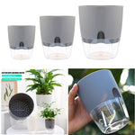 Self watering flower pot with water container